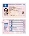 Carnet Conducir Europeo